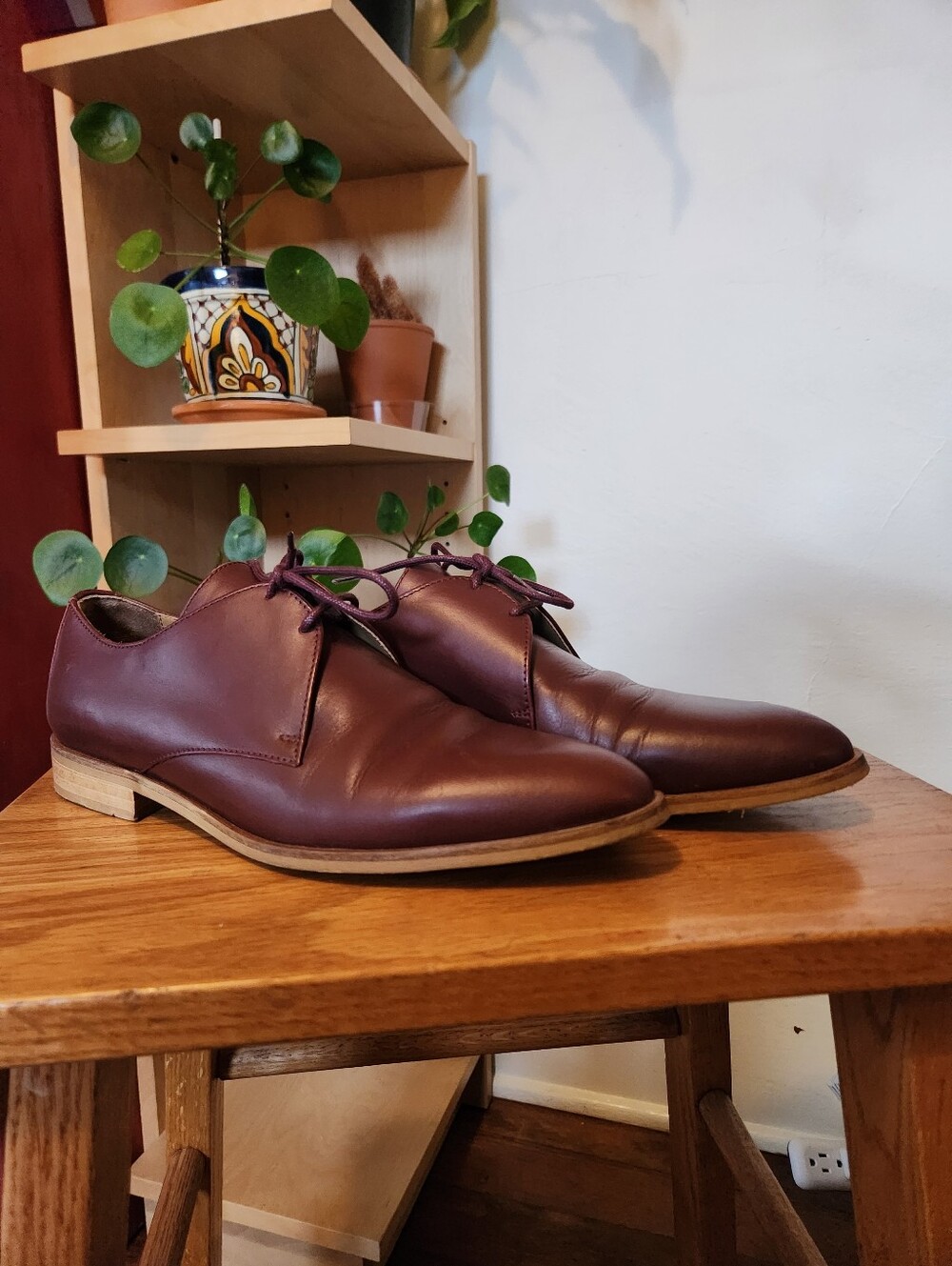 Everlane The Modern Oxford in Oxblood